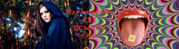 mdpv Ельня
