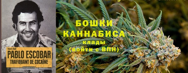 mdpv Ельня